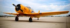 T-6 Texan WWII Aerobatics Flight, Chicago